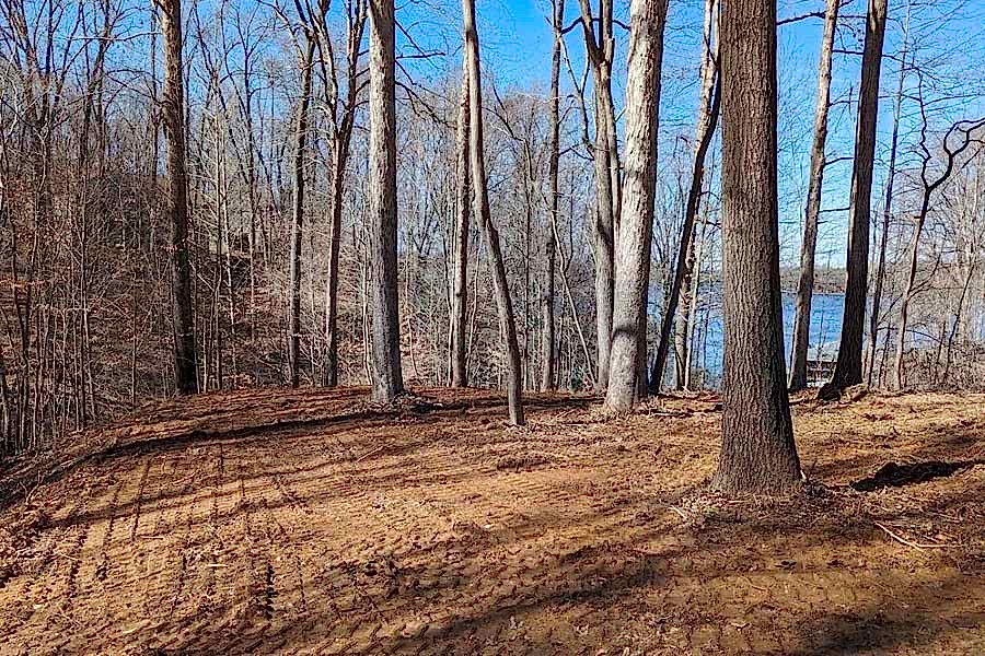 5-acre pasture reclamation project in Louisa County, VA — land cleared for livestock
