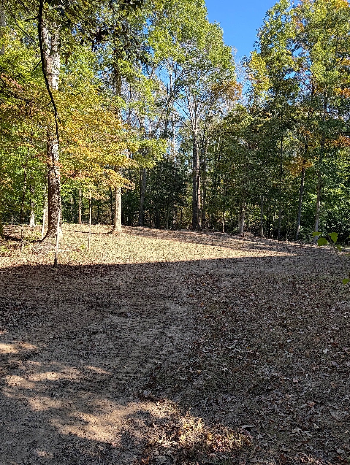 Second customer photo from the Google review of the Mineral, VA property after cleanup